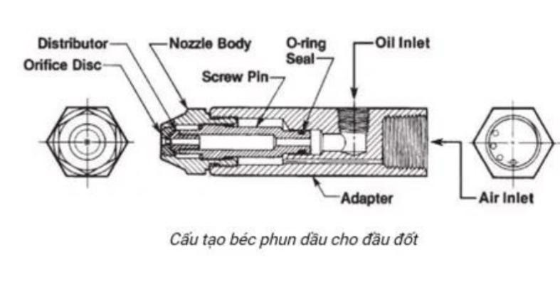 cau-tao-bec-phun-dau