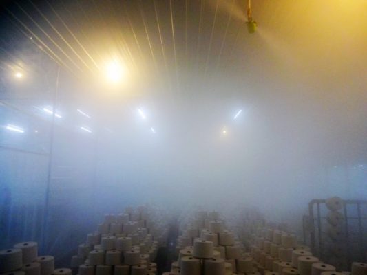 bec-phun-tao-am-nganh-det